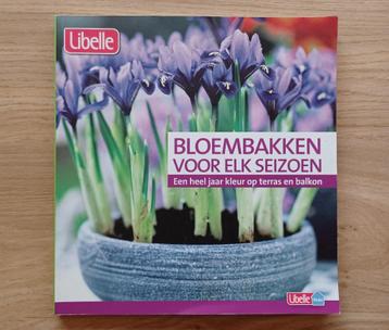 Bloembakken voor elk seizoen beschikbaar voor biedingen