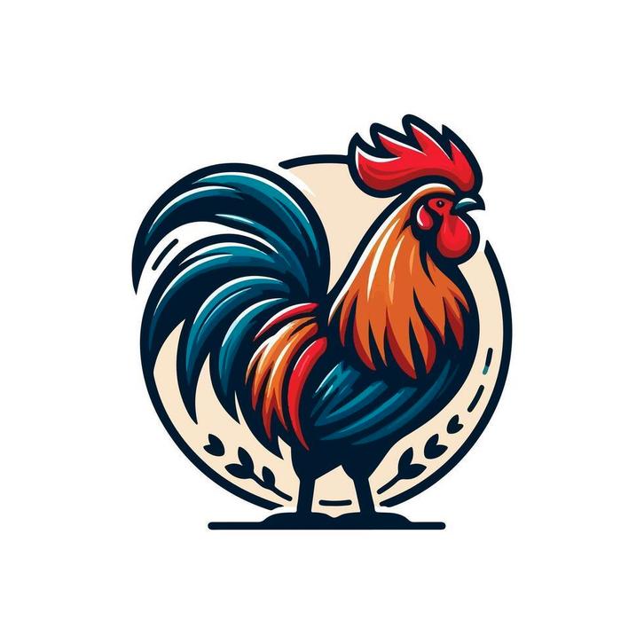 GEZOCHT HAAN brahma, Dieren en Toebehoren, Pluimvee