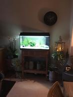 Aqaurium