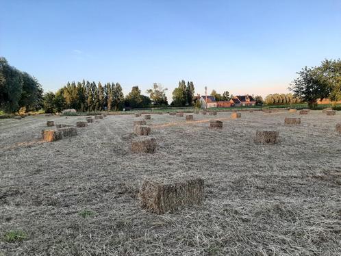 Hooi in kleine balen, Dieren en Toebehoren, Dierenvoeding, Ophalen
