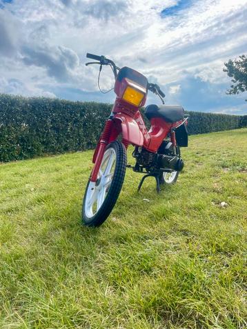 Honda px-r b klasse beschikbaar voor biedingen