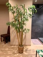 Kunstmatige bamboe, Ophalen, Zo goed als nieuw