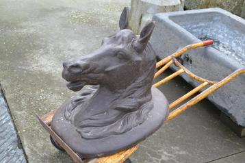 levensgroot oud paardenhoofd in gips beschikbaar voor biedingen