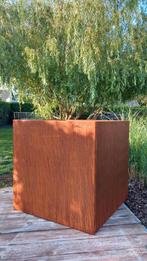 Corten&Vous jardinière cubique 80 cm, Jardin & Terrasse, Bacs à fleurs & Jardinières, Enlèvement, Neuf