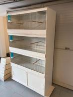 prachtige kweekkooien nieuwstaat kunststof, Ophalen, Zo goed als nieuw, Kunststof, Broedkooi of Kweekkooi