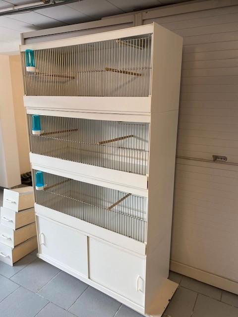 belles cages d'élevage, état neuf, plastique, Animaux & Accessoires, Oiseaux | Cages & Volières, Comme neuf, Cage d'élevage, Synthétique