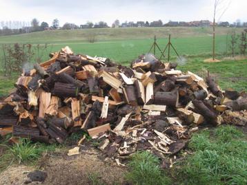 bois de chauffage beschikbaar voor biedingen
