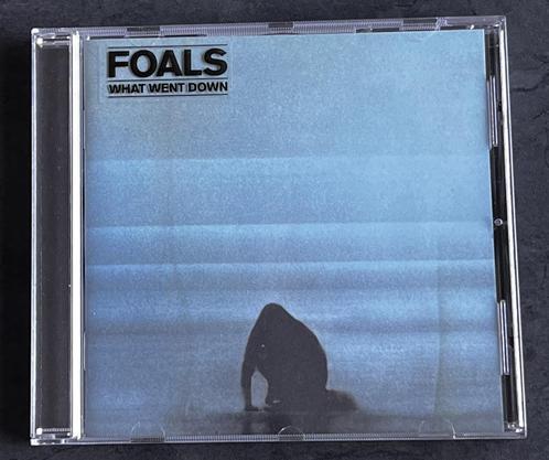 Foals - What Went Down, Cd's en Dvd's, Cd's | Rock, Zo goed als nieuw, Alternative, Ophalen of Verzenden