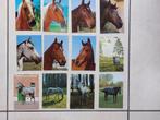 12 niet beschreven postkaarten : paarden, Envoi