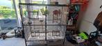 Cage perroquet, Animaux & Accessoires, Enlèvement, Utilisé