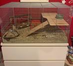 Hamsterkooi of gerbil 78x42x47, Ophalen, Kooi