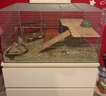 Hamsterkooi of gerbil 78x42x47 beschikbaar voor biedingen
