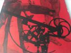 Tinguely César D’Haese 100pag, Boeken, Ophalen of Verzenden, Zo goed als nieuw, Beeldhouwkunst
