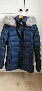 Winterjas Tommy Hilfiger, Kleding | Dames, Tommy hilfiger, Blauw, Ophalen of Verzenden, Zo goed als nieuw