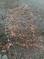 Lampes à pendule, Enlèvement, Utilisé