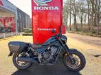 Honda CMX500 Rebel (année de construction 2025), Entreprise, Chopper, 500 cm³
