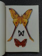 Joli vieux livre sur les papillons, avec de grandes planches, Utilisé, Envoi, Autres espèces
