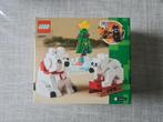 LEGO 40571 IJsberen in de winter - Nieuw in doos!, Kinderen en Baby's, Speelgoed | Duplo en Lego, Ophalen of Verzenden, Nieuw