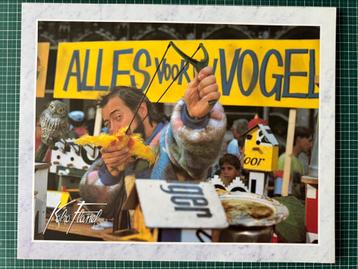 Koko Flanel-exclusief lot beschikbaar voor biedingen