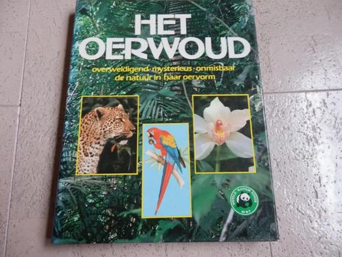 Het oerwoud, Boeken, Natuur, Zo goed als nieuw, Natuur algemeen, Ophalen of Verzenden