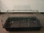 Banc, Rat, Moins de 60 cm, 75 à 110 cm, Cage