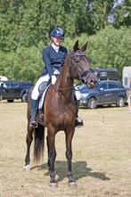 Lesgeefster en ruiter aangeboden België en Nederland