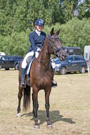 Lesgeefster en ruiter aangeboden België en Nederland beschikbaar voor biedingen