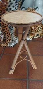 Prachtig jaren 70 rotan planten tafel bijzet tafel, Ophalen
