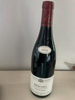 1 fles Mercury, Bourgogne 2020, Ophalen of Verzenden