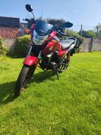 Honda cbf 125, Motoren, Motoren | Honda, Particulier