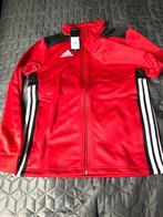 veste survêtement Adidas Regi18 track top, Enfants & Bébés, Vêtements enfant | Taille 164, Garçon ou Fille, Vêtements de sport ou Maillots de bain