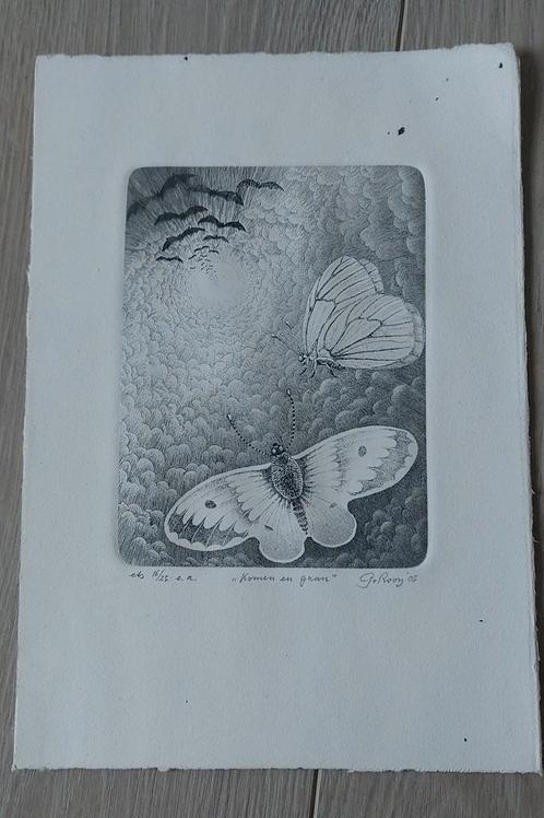 Ets Gerard van Rooy ets gesigneerd, Antiek en Kunst, Kunst | Etsen en Gravures, Ophalen of Verzenden