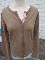 beige gilet, Maat 42/44 (L), Ophalen of Verzenden, Zo goed als nieuw, Maille a l anver