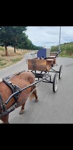 Pony koets in eiken hout, Dieren en Toebehoren, Rijtuigen en Koetsen, Gebruikt, Overige typen, Pony