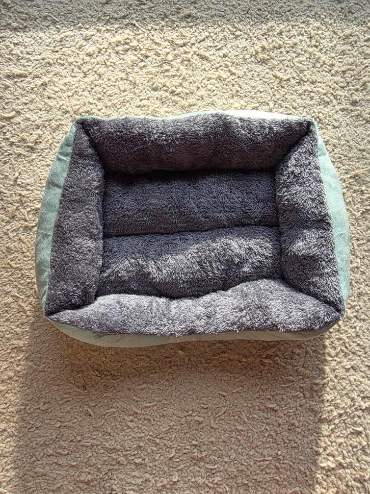 Harnasjes en mand voor hondje., Dieren en Toebehoren, Kattenmanden, Ophalen