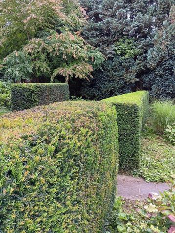 Tuinonderhoud  beschikbaar voor biedingen