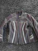 Harley Davidson winterjas voor dames XL, Motoren, Kleding | Motorkleding