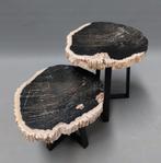 Salontafel in Fossiel, Salontafelset in Versteend Hout., Verzamelen, Ophalen of Verzenden, Fossiel