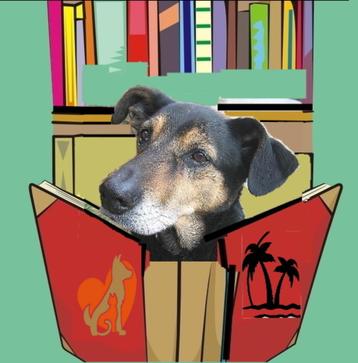 Zomerdeal -> Elk boek kost 2 euro + 3e boek is GRATIS beschikbaar voor biedingen
