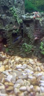 Aquarium te koop juwel 180, Dieren en Toebehoren, Ophalen, Zo goed als nieuw