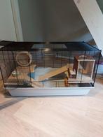 Grote luxe kooi met verdieping. Lengte 98cm,breedte 56cm., Ophalen