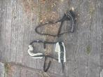 Halsters te koop, Dieren en Toebehoren, Ophalen of Verzenden