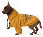 Sweatshirt Licorne Moutarde Charme Chien Pull pour Chien et, Animaux & Accessoires, Vêtements pour chiens, Pull pour chien, Neuf