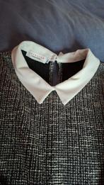 Kleedje, Kleding | Heren, Polo's, Ophalen