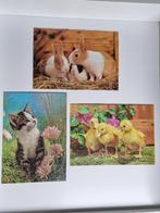 3 Puzzels van dieren 70 stukjes, Kinderen en Baby's, Ophalen of Verzenden, Meer dan 50 stukjes, Gebruikt, 6 jaar of ouder