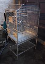 Grote vogelkooi op staander, Enlèvement, Utilisé, Métal, Cage à oiseaux