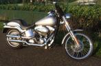 Harley-Davidson 1450 twincam, bwj. 2001, carbu, softailframe, Motoren, Motoren | Harley-Davidson, 2 cilinders, Sportuitlaat, Chopper