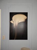 Te koop mooie kaders, Huis en Inrichting, Ophalen