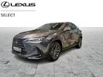 Lexus NX 350h 2.5 HYB EXECUTIVE, Auto's, Automaat, 2487 cc, Parkeersensor, 5 deurs