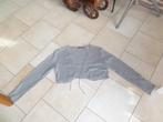 grijs vest/bolero maat 44, Kleding | Dames, Truien en Vesten, Ophalen of Verzenden, Zo goed als nieuw, Maat 42/44 (L), Grijs